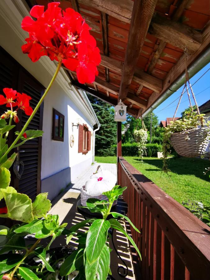 Maison d'hôtes Őrség Kincse à Hegyhátszentjakab Extérieur photo